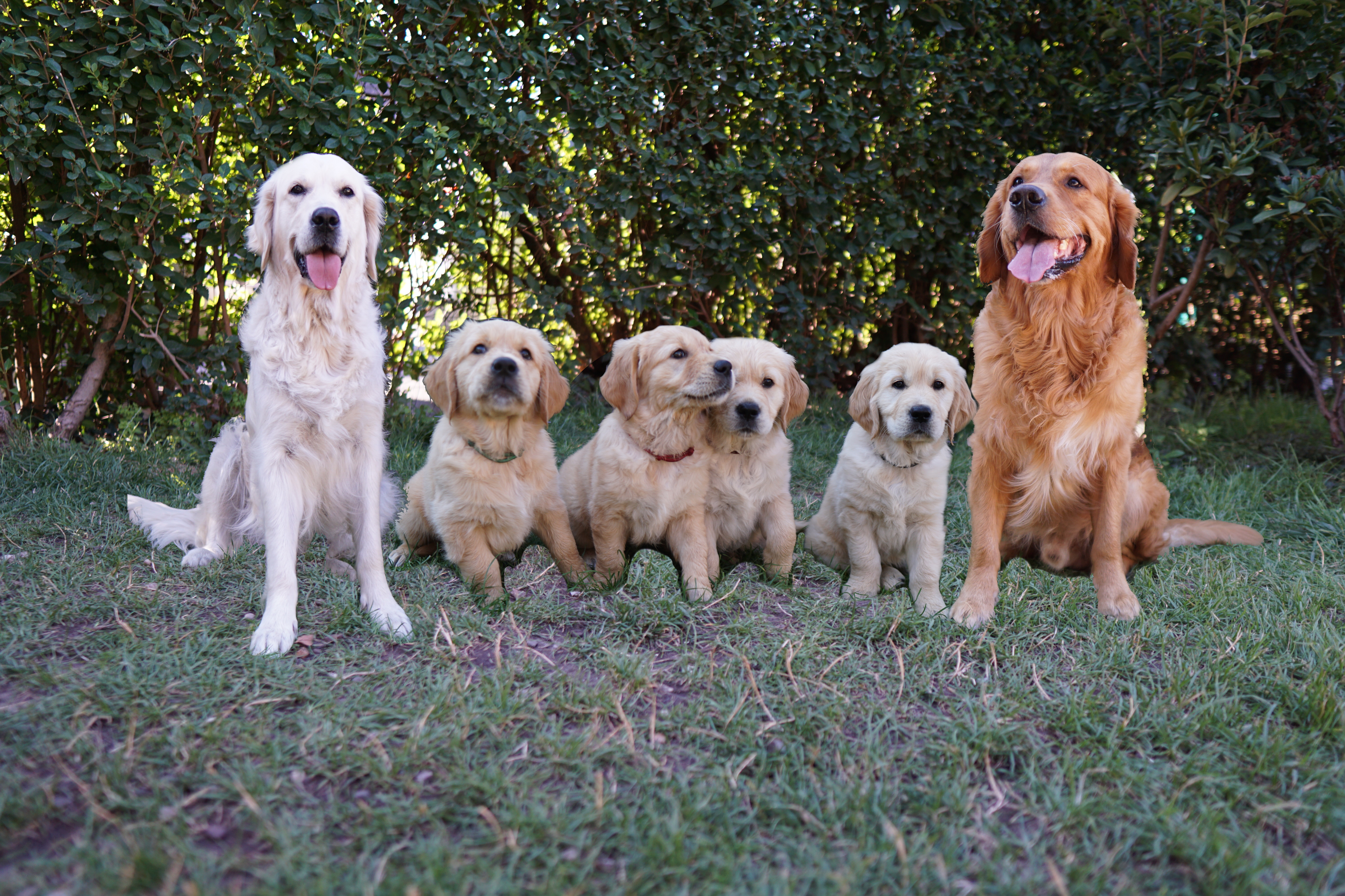 E-chen werden 3 Jahre